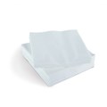 NAPKIN 2PLY LUNCHEON WHITE