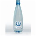 NU PURE LIGHTLY SPARKLNG WATER PET 12X500ML