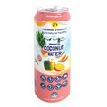 JTS WATER COCONUT TROPICAL 490ML