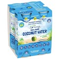 JTS WATER COCONUT 4X4X300ML